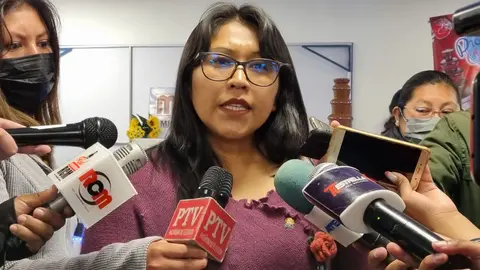 Gladis Quispe, diputada evista. (Foto. CD).