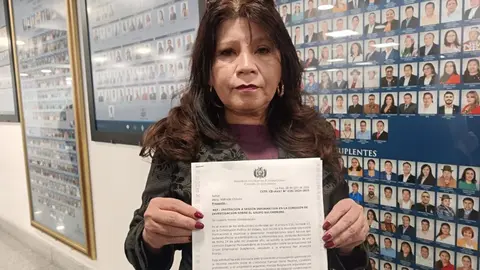 Milena Reque, diputada nacional. (Foto. La Patria).