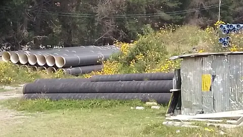 Tuber&iacute;as. (Foto. Visi&oacute;n 360).