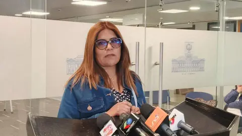 Catherinne Pinto, diputada del PDC. (Foto. RR. SS.).
