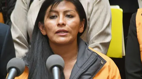 Soledad Chapet&oacute;n, diputado de UN. (Foto: El Deber).