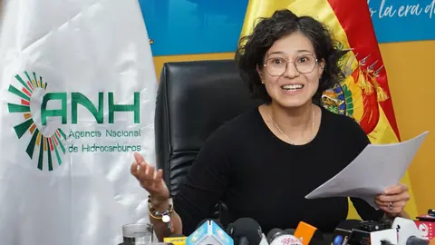 Margot Ayala, exdirectora ejecutiva de la Agencia Nacional de Hidrocarburos (ANH).