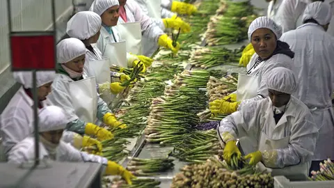 Exportaciones. Imagen referencial. (Foto: RRSS)