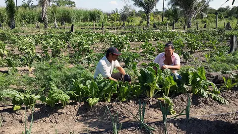 Producci&oacute;n agr&iacute;cola Santa Cruz