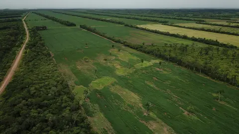 Tierras Pando.