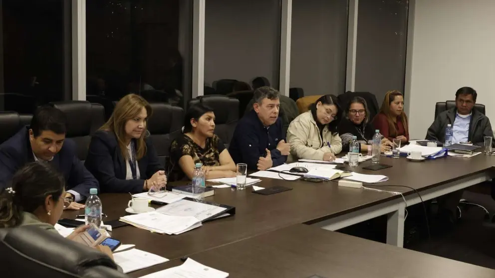 Legisladores analizan el proyecto de ley. (Foto: C&aacute;mara de Senadores)